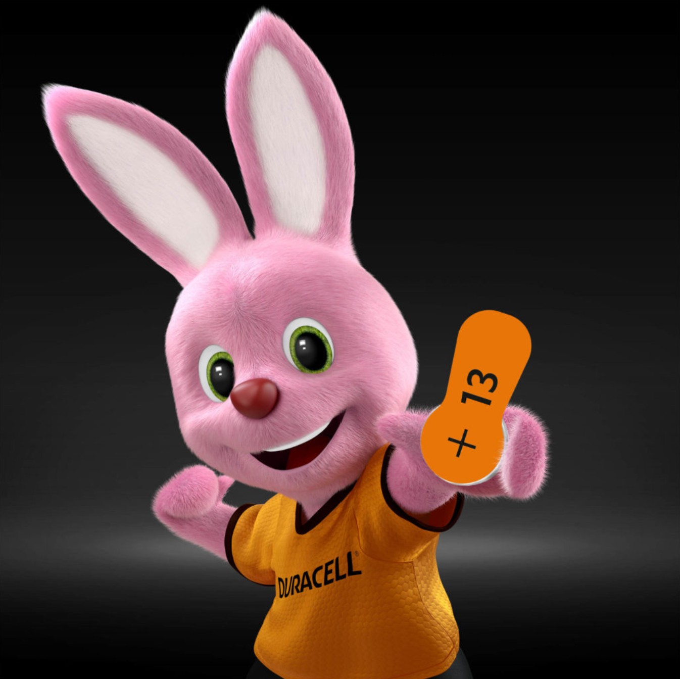 PILAS AUDITIVAS DURACELL N13 PACK 10 BLISTER (60 PILAS) - Imagen 2